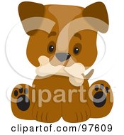 Poster, Art Print Of Cute Puppy With A Big Head Sitting And Holding A Dog Bone In His Mouth