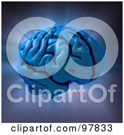 Poster, Art Print Of 3d Blue Human Brain Over A Shining Background