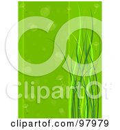 Royalty Free RF Clipart Illustration Of A Green Spring Time Background Of Dandelion Seeds Floating By Grasses by Pushkin