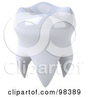 3d Shiny White Human Tooth