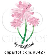 Royalty Free RF Clipart Illustration Of Three Pink Daisies Over Springtime Text