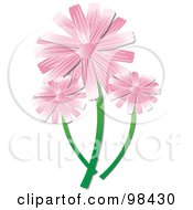 Royalty Free RF Clipart Illustration Of Three Pink Daisies
