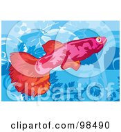 Royalty Free RF Clipart Illustration Of A Red Guppy Fish by mayawizard101
