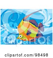 Poster, Art Print Of Tropical Aquarium Fish - 4