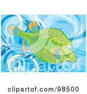 Royalty Free RF Clipart Illustration Of A Tropical Puffer Aquarium Fish by mayawizard101