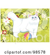 Poster, Art Print Of Cat Playing With A Ball - 5