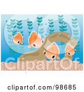 Poster, Art Print Of Group Of Goldfish In An Aquarium