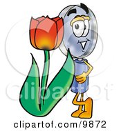 Magnifying Glass Mascot Cartoon Character With A Red Tulip Flower In The Spring by Mascot Junction