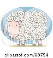 Poster, Art Print Of White Sheep With Curly Hair