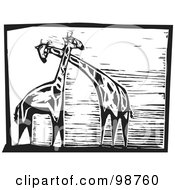 Poster, Art Print Of Black And White Wood Engraved Giraffes