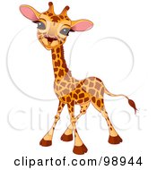 Poster, Art Print Of Happy Baby Giraffe Smiling