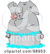 Poster, Art Print Of Elephant Scrubbing With A Sponge In A Wash Tub