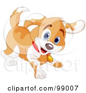 Poster, Art Print Of Playful Tan And White Puppy Smiling