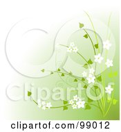 Poster, Art Print Of Green Plant With White Flowers Over Gradient Green