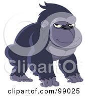 Poster, Art Print Of Grouchy Gorilla Squinting