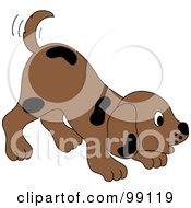 Poster, Art Print Of Brown Puppy Dog With Black Spots Wagging His Tail And Bending Down
