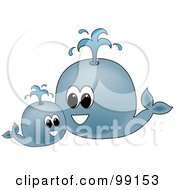Poster, Art Print Of Round Blue Whale And Its Mother Spouting Water