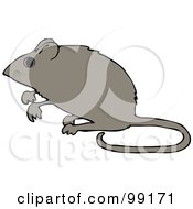 Poster, Art Print Of Alert Mouse Standing Up On His Hind Legs