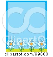 Poster, Art Print Of Blue Background With Four White Daisy Flowers Along The Bottom