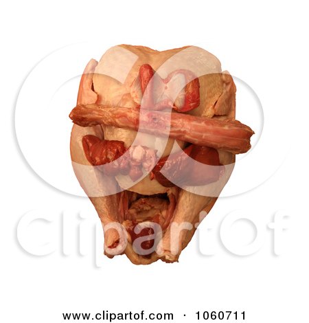 Uncooked Turkey & Giblets (Heart, Liver, Gizzard, Neck) - Royalty Free Stock Photo by Kenny G Adams