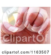 Womans Hand With Shellac French Tip Manicured Nails Royalty Free Historical Stock Photo