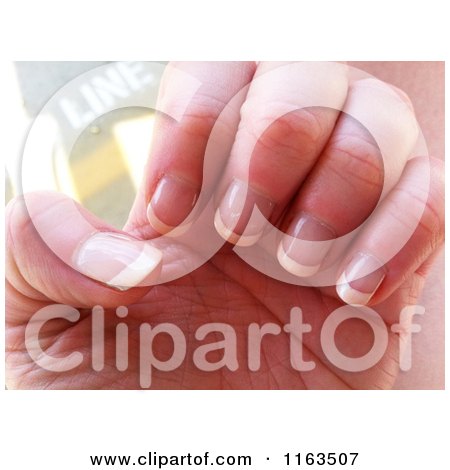 Woman's Hand With Shellac French Tip Manicured Nails - Royalty Free Historical Stock Photo by Jamers